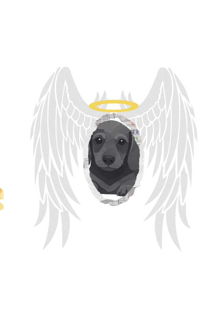 crematorio de mascotas