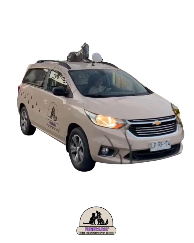 carroza funebre -traslado de mascotas digno