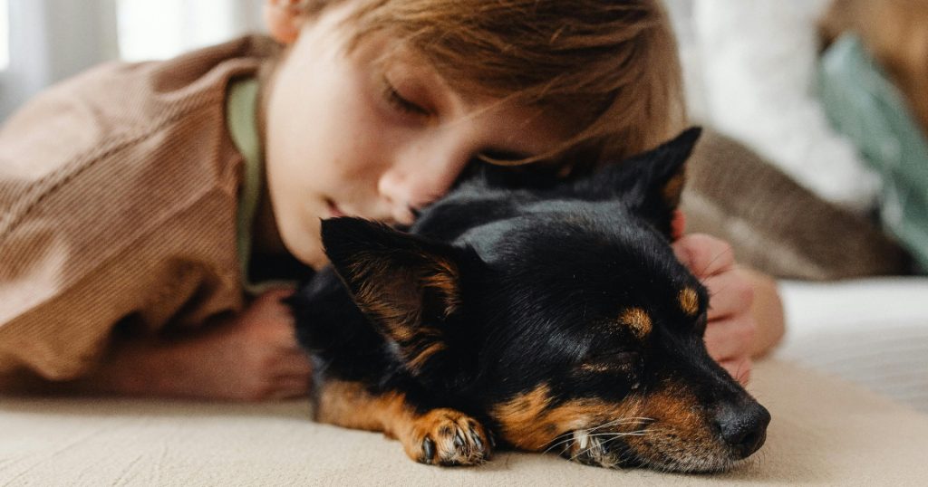 Sentir culpa tras la eutanasia de una mascota es una respuesta emocional completamente normal y sumamente frecuente.