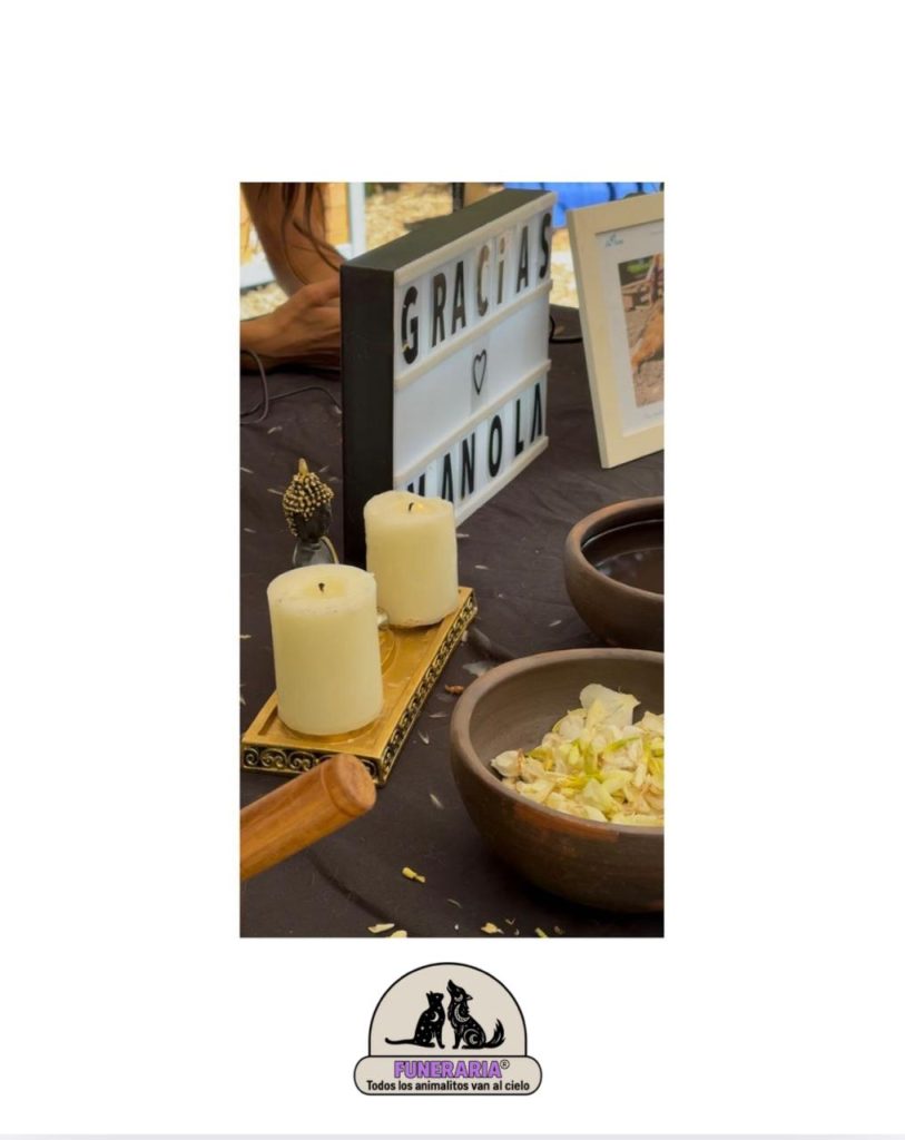 ceremonia de despedida de mascota