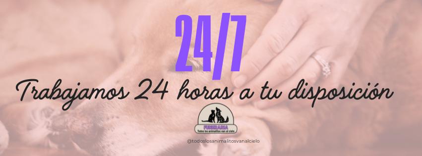 funeraria de mascotas, urgencias 24/7