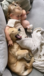 CREMACION MASCOTAS , DUELO DE NIÑOS