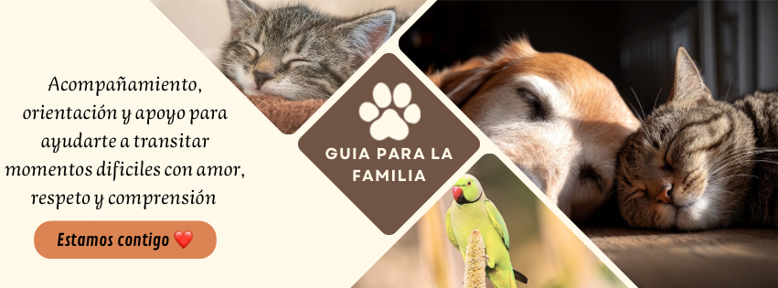 Crematorio de mascotas Santiago, guia para la familia en el duelo.